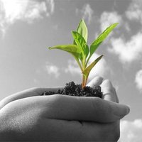 Agri-Food Alumni ETH (@afalumni_ethz) Twitter profile photo