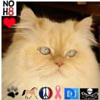 Sarah ☮ & █▄❤️╲╱☰ Ⓥ🐘🐯🐬🐷🐥🐄 (@zbleumoon) 's Twitter Profile