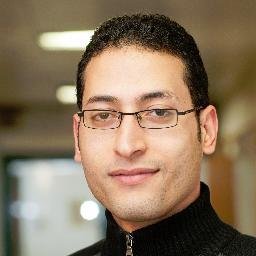 Lecturer at Hamburg University of Technology (Germany) and Menoufia University (Egypt)