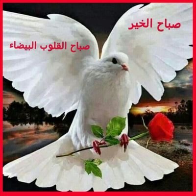 wAKxux0e1SBsd3z's profile picture. 