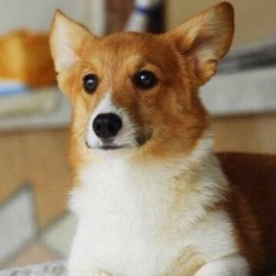 SoochowTracyOne's profile picture. 