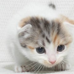 HPHT12426's profile picture. 下半身デブ(16)