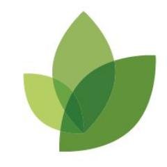 Executive Coaching | Coach Training | Mindfulness | Leadership Development | Gestalt | Coaching Supervision | Coaching Psychology
