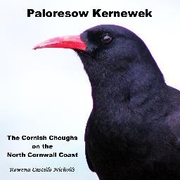 “Paloresow Kernewek, The Cornish Choughs on the North Cornwall Coast” by Rowena Castillo Nicholls