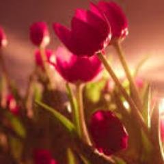 mindymega1's profile picture. “Without music, life would be a mistake.” 
― Friedrich Nietzsche