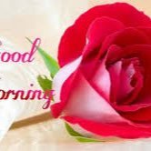 QamarMu96413009's profile picture. 