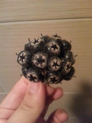 DenisLogai's profile picture. 