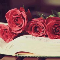 % قطر الندى % (@raseido1987) 's Twitter Profile