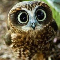 Zeynep Yurekli (@zeynepyurekli1) 's Twitter Profile