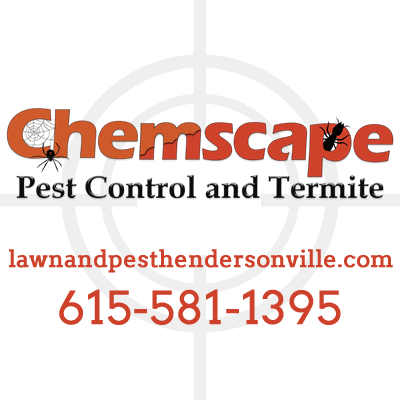 Your one stop shop for all of your Pest Control, Termite, and Lawn Care needs!