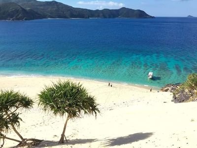 EHzUDPlEQvEa6sb's profile picture. 