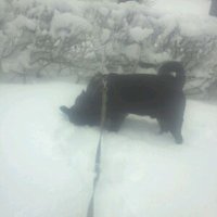 Harriette Frรธitland (@hekkfjell) 's Twitter Profile Photo Harriette Frรธitland (@hekkfjell) 's Twitter Profile Photo