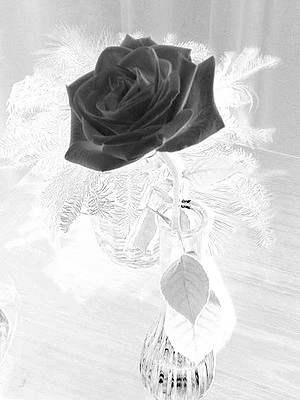 GemmatheQueen's profile picture. Reader, writer, artist, eccentric, minimalist. 
I like Queen of Darkness by Tony Banks. And Laura Brehms voice.