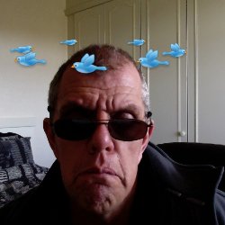 stuartgodding62's profile picture. 