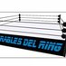 Imparables del Ring (@Imparables316) Twitter profile photo