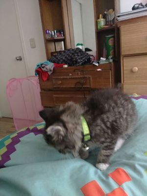 IngridXiry2001's profile picture. 