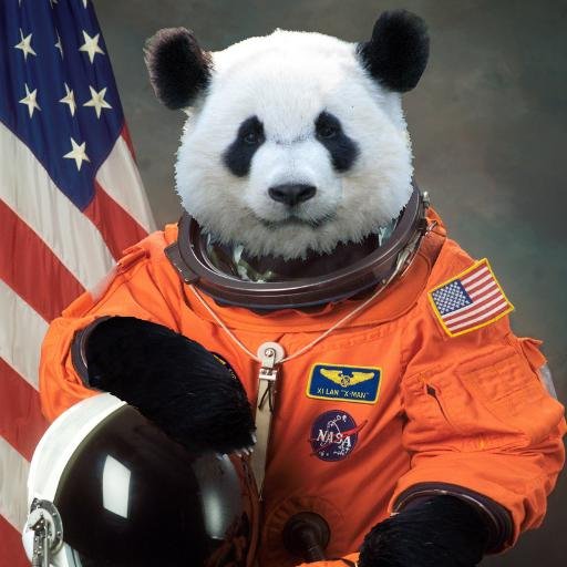 HighTechPanda Profile Picture