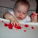 Stephen Lima - @cheflima - Twitter