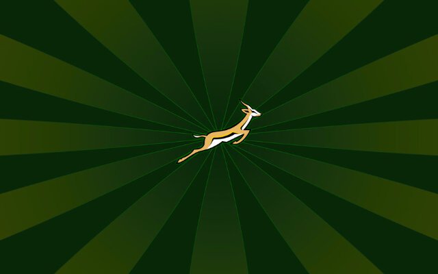 RugbyCentral3's profile picture. Proud supporter of South African rugby!