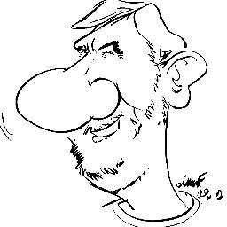 Luc Volders Profile