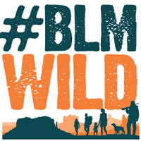 BLMWild (@blmwild) 's Twitter Profile Photo BLMWild (@blmwild) 's Twitter Profile Photo