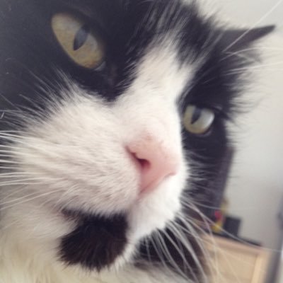 Agriggster's profile picture. 