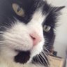 Agriggster's profile picture. 