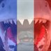 JMC (@maronjf) Twitter profile photo JMC (@maronjf) Twitter profile photo