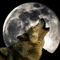 SaragalvezM's profile picture. Arqueóloga. Paleolitista. Investigadora de Tercer Ciclo en la Universidad de Salamanca.