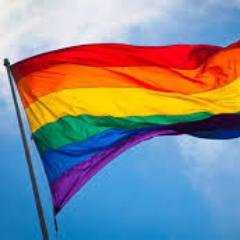 Our goal is to be a group of LGBTQ citizens fighting for the betterment of our community. Our current initiative is to ban workplace discrimination against us.
