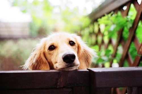 SAPO_T's profile picture. 嵐♡SHINee♡高知♡兵庫/大阪♡バレー部♡商学部♡