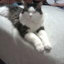 Barbara Hoag - @Barbh46 - Twitter