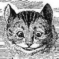 your grinning cat (@ygc) 's Twitter Profile