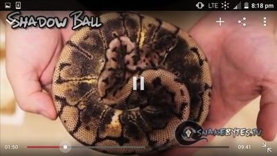 davidcushey's profile picture. 