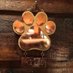 Copper Paws (@copper_paws) Twitter profile photo Copper Paws (@copper_paws) Twitter profile photo