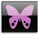Nysteria Solutions is the Technology Company
