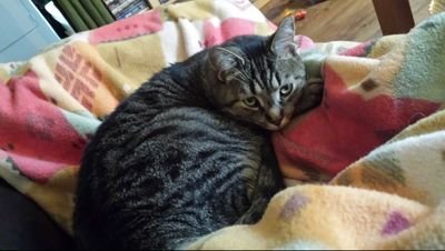 ManonHoldsworth's profile picture. 