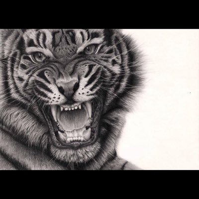 PS4CODLeague_US's profile picture. 