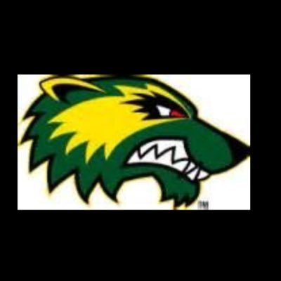 showing support only! you can also send photos and we will post them! #Wolverines