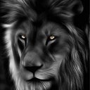 The Element 007 (@007theelement1) Twitter