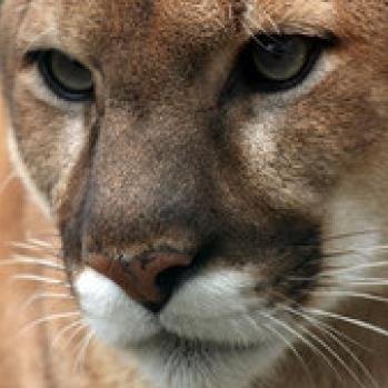 misuseless's profile picture. Life student!