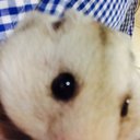【ユウカ】 (@57Kindflower) Twitter
