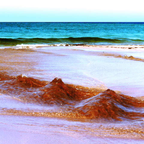 jimrhiz's profile picture. Teleology, existentialism, hedonism. Expand the self; fight entropy; create meaning. … he/him.