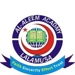 AleemAcademy's profile picture. 
