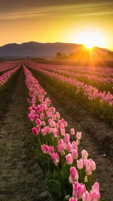 Muhammad5870059's profile picture. 