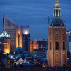 RentalsDenhaag's profile picture. 