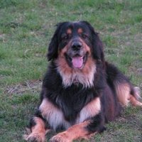 Waldemar Giro (@biancogiro) 's Twitter Profile