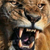 Adam Kane (@adamkane81) 's Twitter Profile