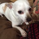 nancy pine beers - @nancypinebeers - Twitter