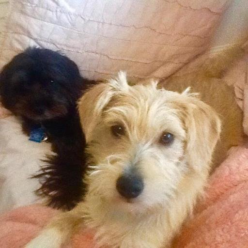 maryk768's profile picture. 